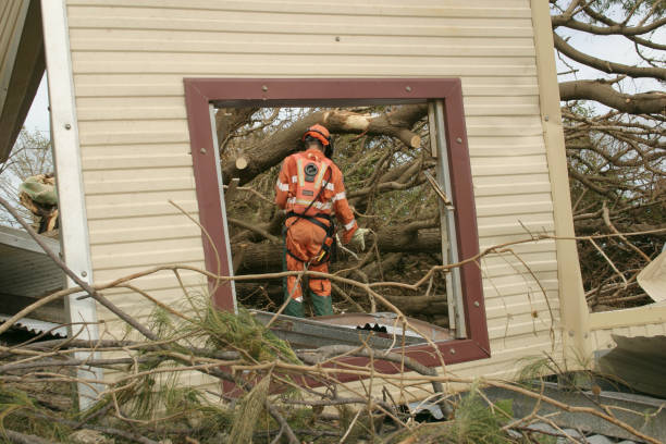 Best Seasonal Cleanup (Spring/Fall)  in Ashland, VA