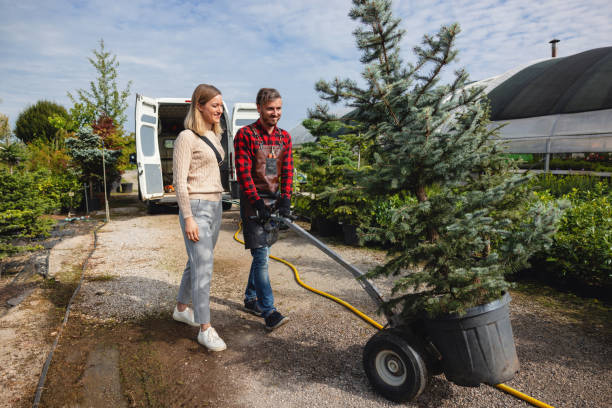 Best Tree Risk Assessment  in Ashland, VA